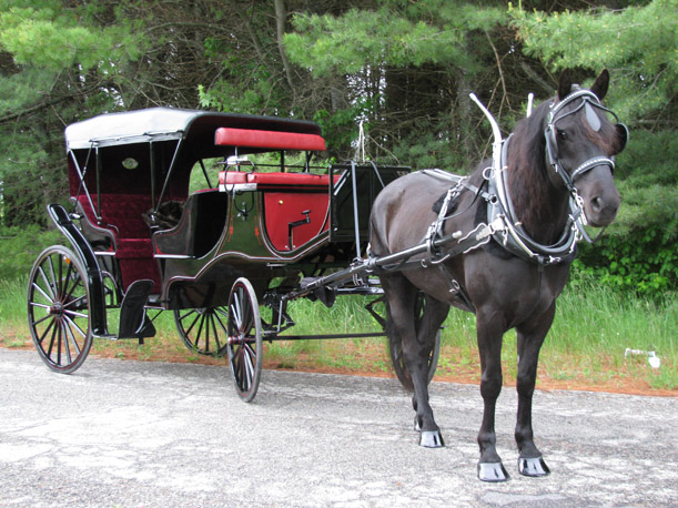 Sayward's Classic Carriage | Adirondack Wedding Vendor