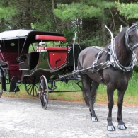 Sayward's Classic Carriage | Adirondack Wedding Vendor