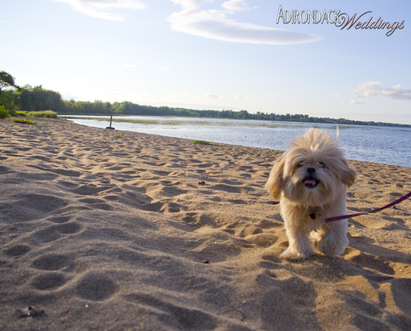 Summer in the Adirondacks | Ausable Point | Adirondack Weddings Magazine