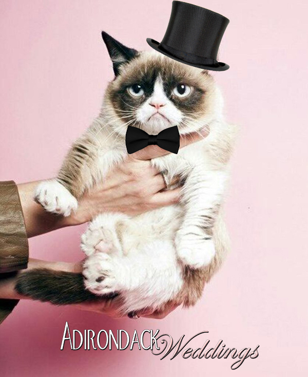 Grumpy Cat | Adirondack Weddings Magazine