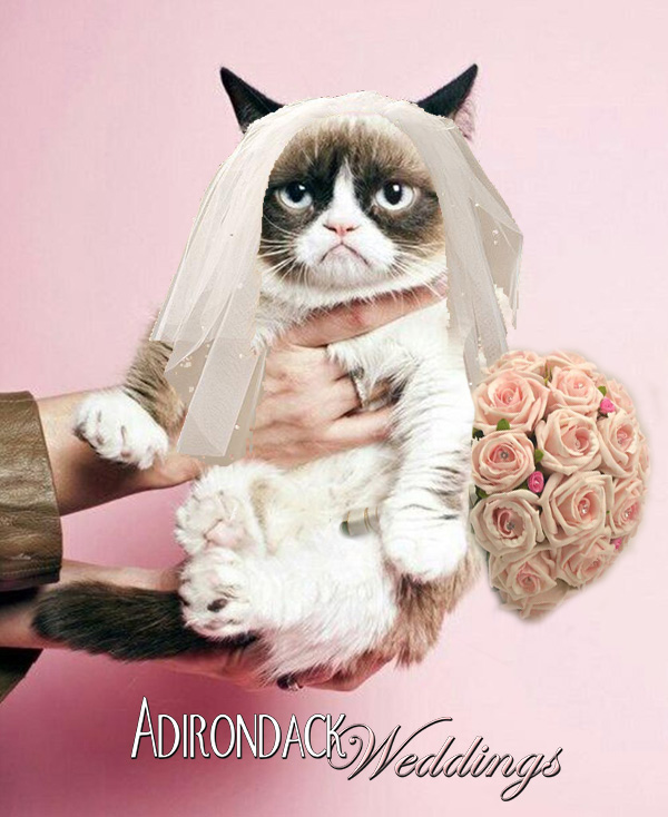 grumpy cat wedding meme