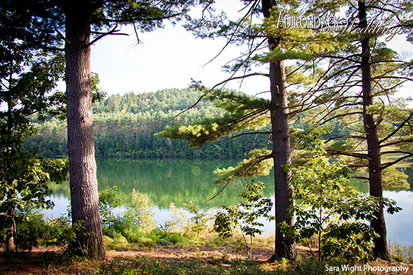 Eco friendly weddings | Adirondack Weddings Magazine