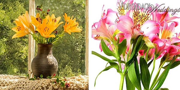 Daylilies | Adirondack Weddings Magazine